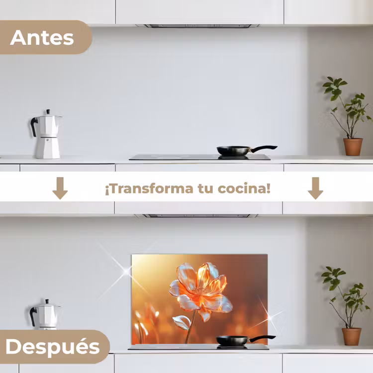 Salpicaderos de cocina - Gafas - Flor - Luz solar — 7