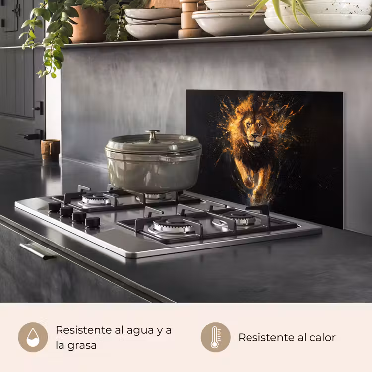Salpicaderos de cocina - León - Negro - Naranja - Pintura — 2