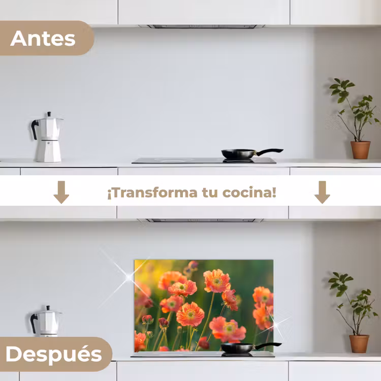 Salpicaderos de cocina - Campo de flores - Rayos de sol - Naranja — 7