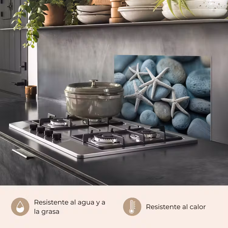 Salpicaderos de cocina - Estrella de mar - Piedras - Blanco — 2