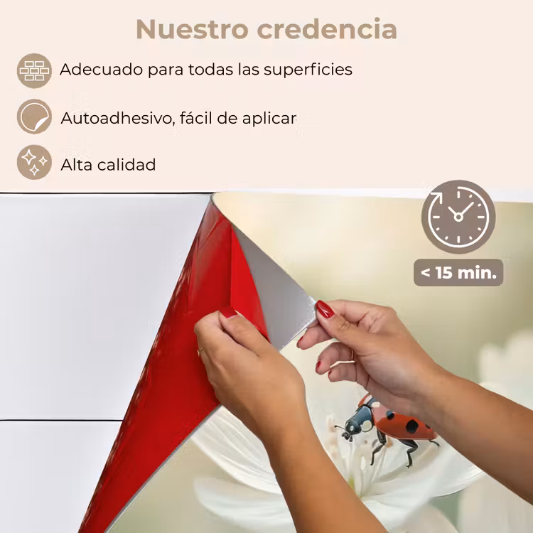 Salpicaderos de cocina - Mariquita - Flores - Blanco — 4