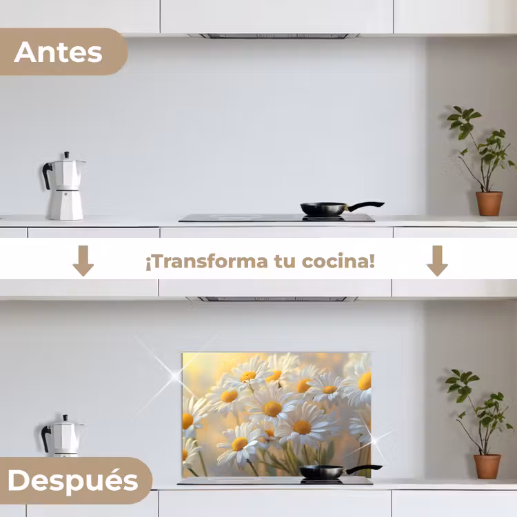 Salpicaderos de cocina - Margaritas - Blanco - Luz del sol — 7