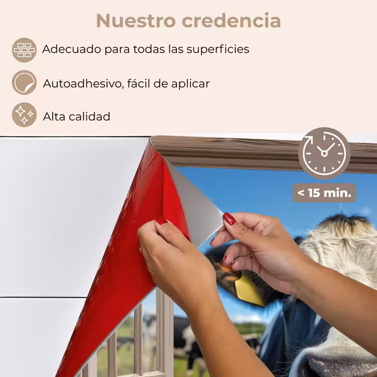 Salpicaderos de cocina - Mirar a través - Vaca - Pradera - Animales - Naturaleza — 4