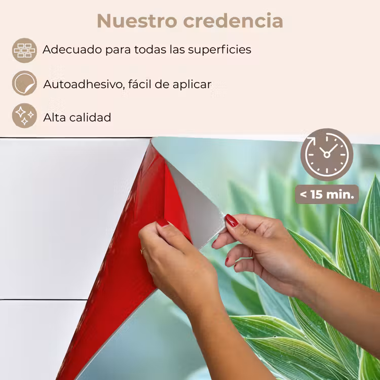 Salpicaderos de cocina - Hoja - Planta - Verde - Textura — 4