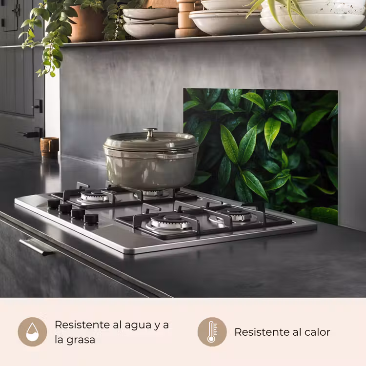 Salpicaderos de cocina - Hojas - Gotas de lluvia - Luz - Verde — 2