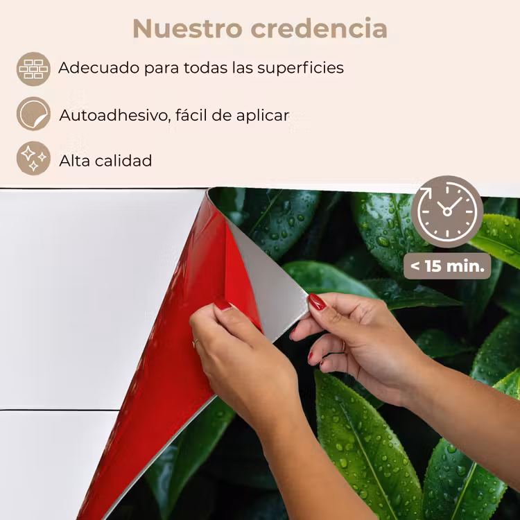 Salpicaderos de cocina - Hojas - Gotas de lluvia - Luz - Verde — 4