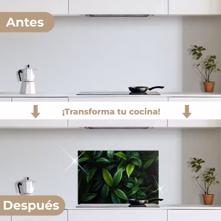 Salpicaderos de cocina - Hojas - Gotas de lluvia - Luz - Verde — 7