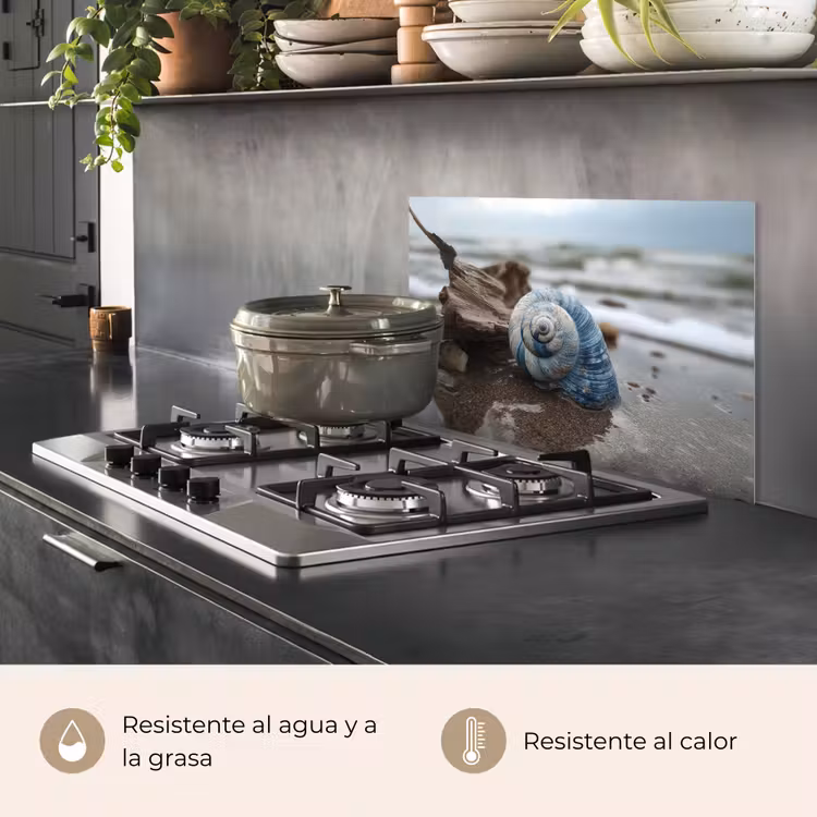 Salpicaderos de cocina - Concha - Playa - Azul - Mar — 2