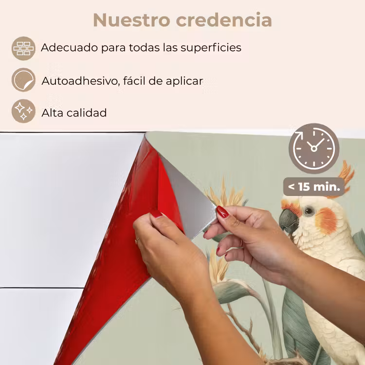 Salpicaderos de cocina - Cacatúa crestada amarilla - flores de ave del paraíso - Verde — 4