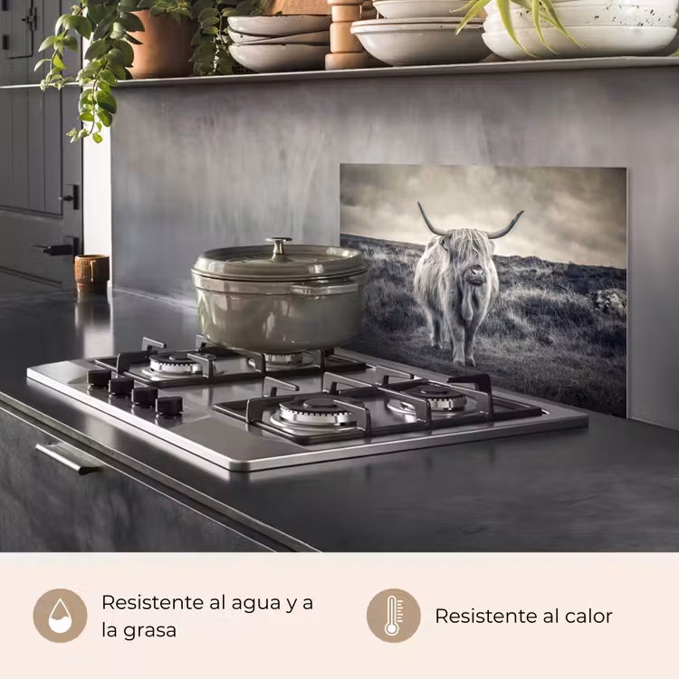 Salpicaderos de cocina - Highlander escocés - Animales - Nubes - Vaca - Naturaleza — 2