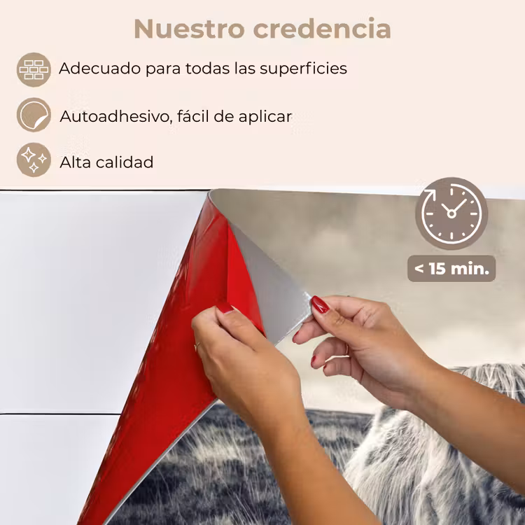 Salpicaderos de cocina - Highlander escocés - Animales - Nubes - Vaca - Naturaleza — 4