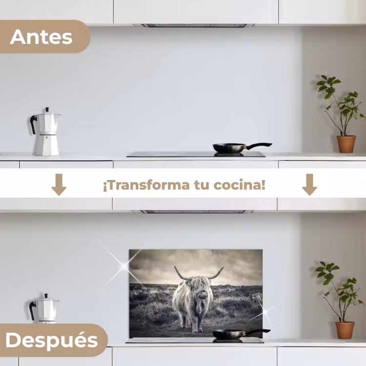 Salpicaderos de cocina - Highlander escocés - Animales - Nubes - Vaca - Naturaleza — 7