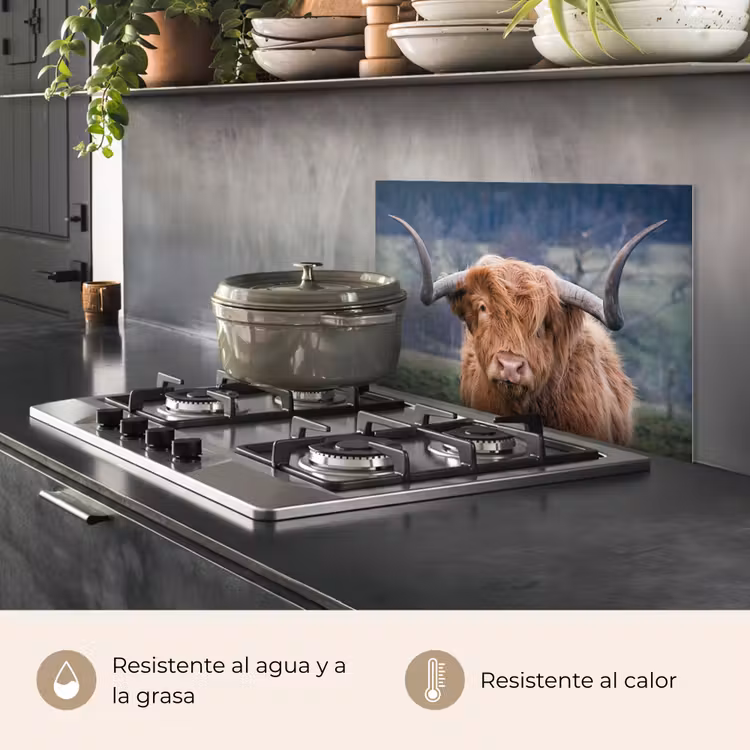 Salpicaderos de cocina - Highlander escocés - Cabeza de vaca - Paisaje - Naturaleza - Vaca — 2