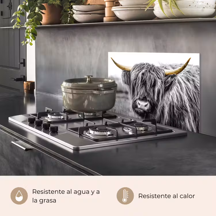 Salpicaderos de cocina - Highlander escocés - Cuernos - Oro - Negro — 2