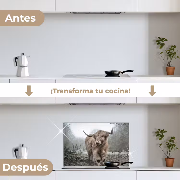Salpicaderos de cocina - Highlander escocés - Naturaleza - Otoño - Animales - Vida salvaje - Bosque — 7