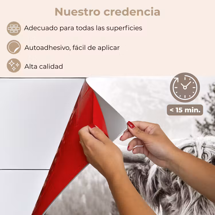 Salpicaderos de cocina - Highlander escocés - Vaca - Animales - Negro - Blanco — 4