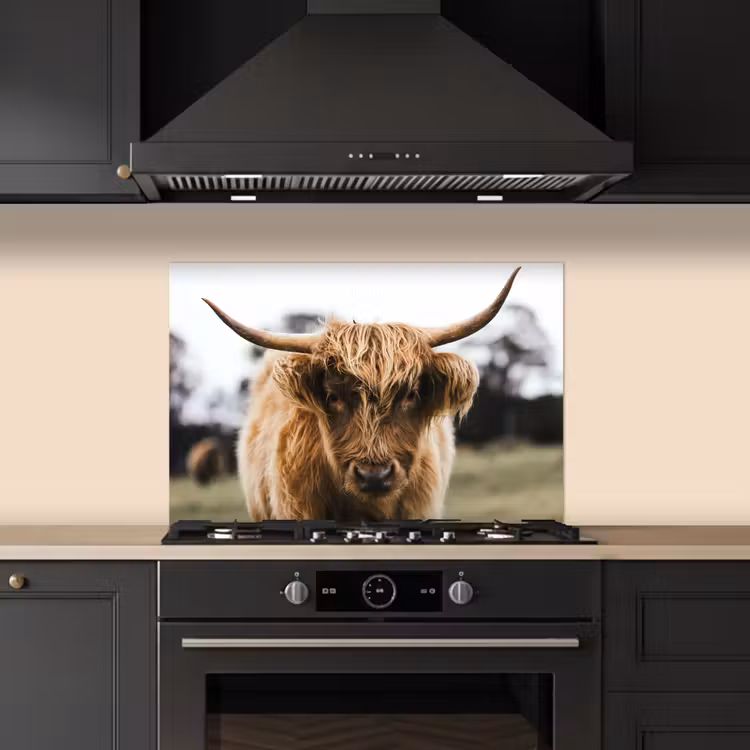 Salpicaderos de cocina - Highlander escocés - Vaca - Hierba - Animales - Naturaleza — 5