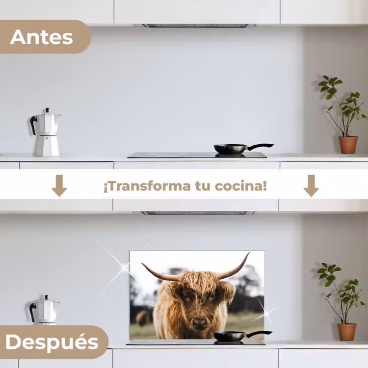 Salpicaderos de cocina - Highlander escocés - Vaca - Hierba - Animales - Naturaleza — 7