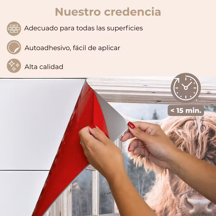 Salpicaderos de cocina - Highlander escocés - Vaca - Montaña - Vista — 4