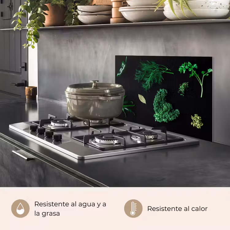Salpicaderos de cocina - Especias y hierbas sobre fondo negro — 2