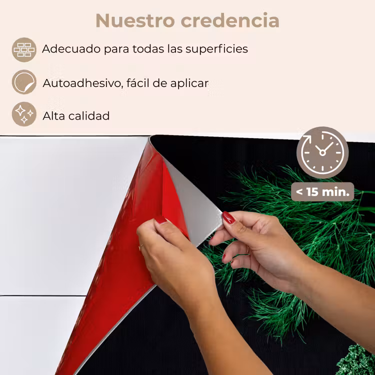 Salpicaderos de cocina - Especias y hierbas sobre fondo negro — 4