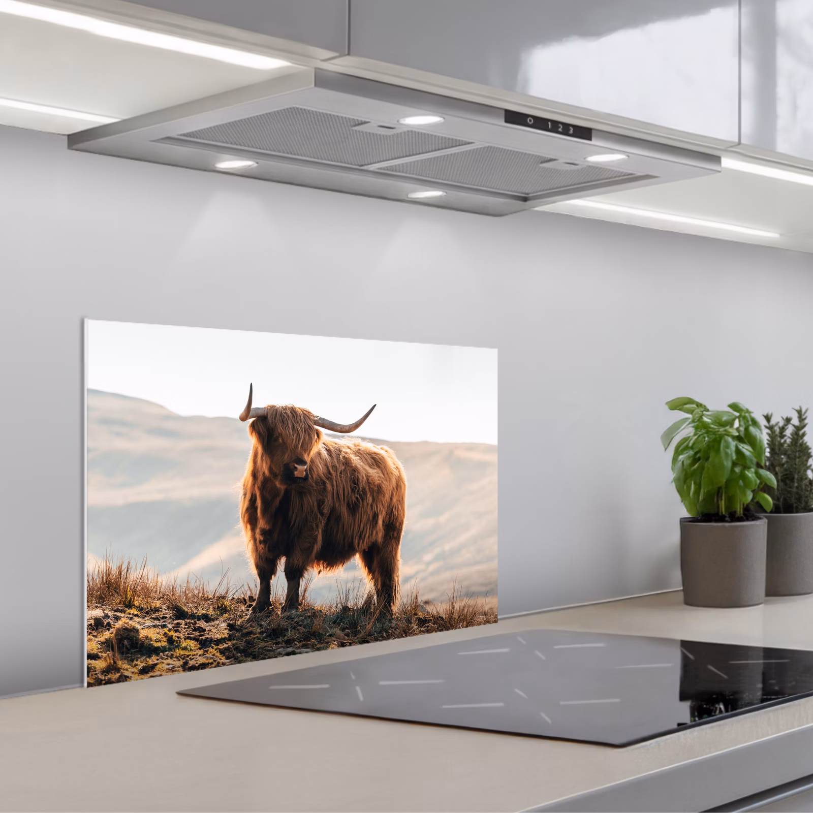 Salpicaderos de cocina - Highlander escocés - Animales - Rural - Paisaje - Vaca - Naturaleza — 1