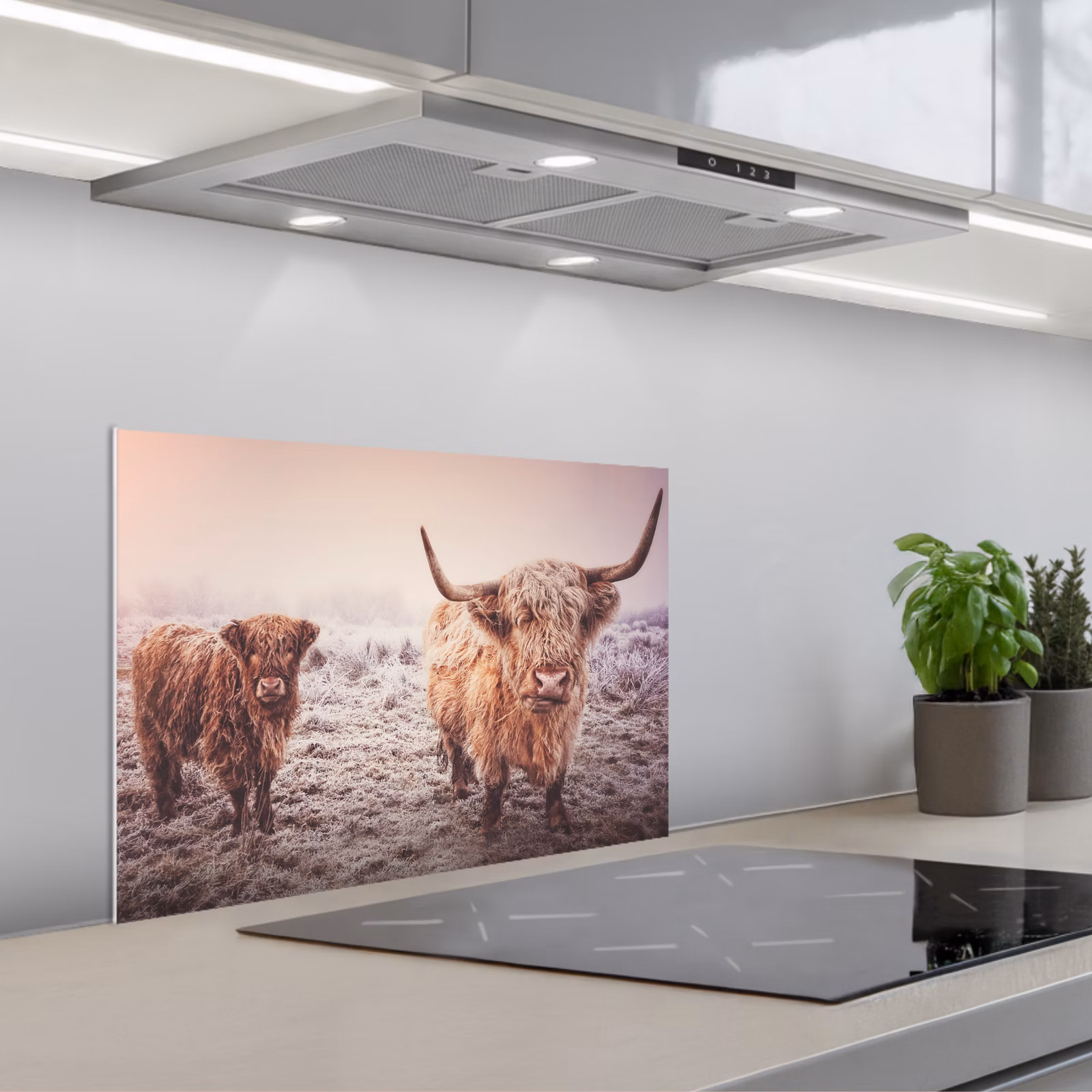 Salpicaderos de cocina - Highlanders escoceses - Luz - Cielo - Naturaleza — 1