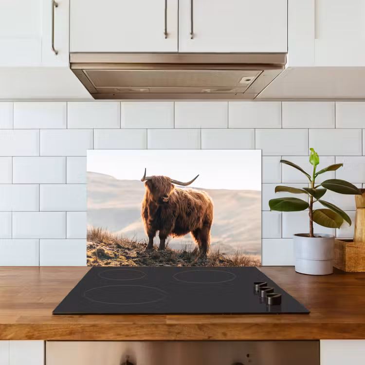 Salpicaderos de cocina - Highlander escocés - Animales - Rural - Paisaje - Vaca - Naturaleza — 3