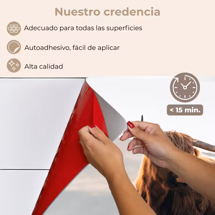 Salpicaderos de cocina - Highlander escocés - Animales - Rural - Paisaje - Vaca - Naturaleza — 4