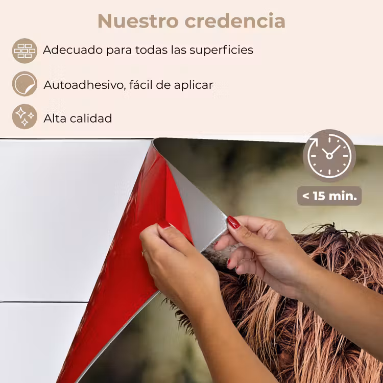 Salpicaderos de cocina - Highlander escocés - Luz - Retrato - Naturaleza — 4