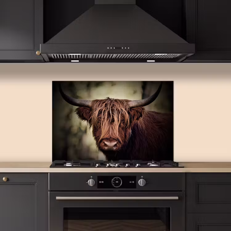 Salpicaderos de cocina - Highlander escocés - Luz - Retrato - Naturaleza — 5