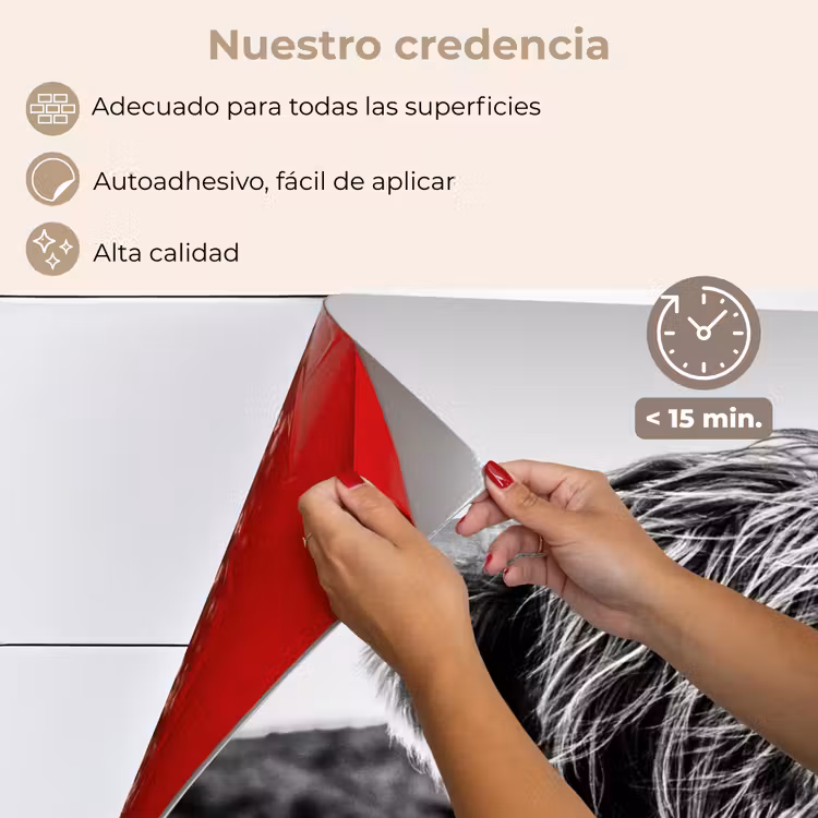 Salpicaderos de cocina - Highlander escocés - Naturaleza - Vaca - Negro - Blanco — 4