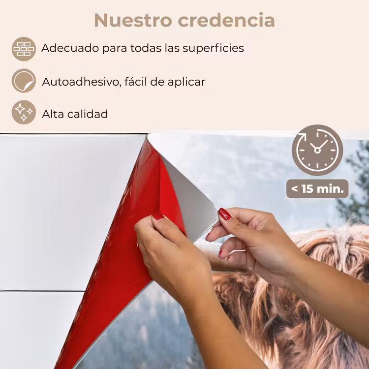 Salpicaderos de cocina - Highlander escocés - Vaca - Animales - Montaña - Naturaleza — 4
