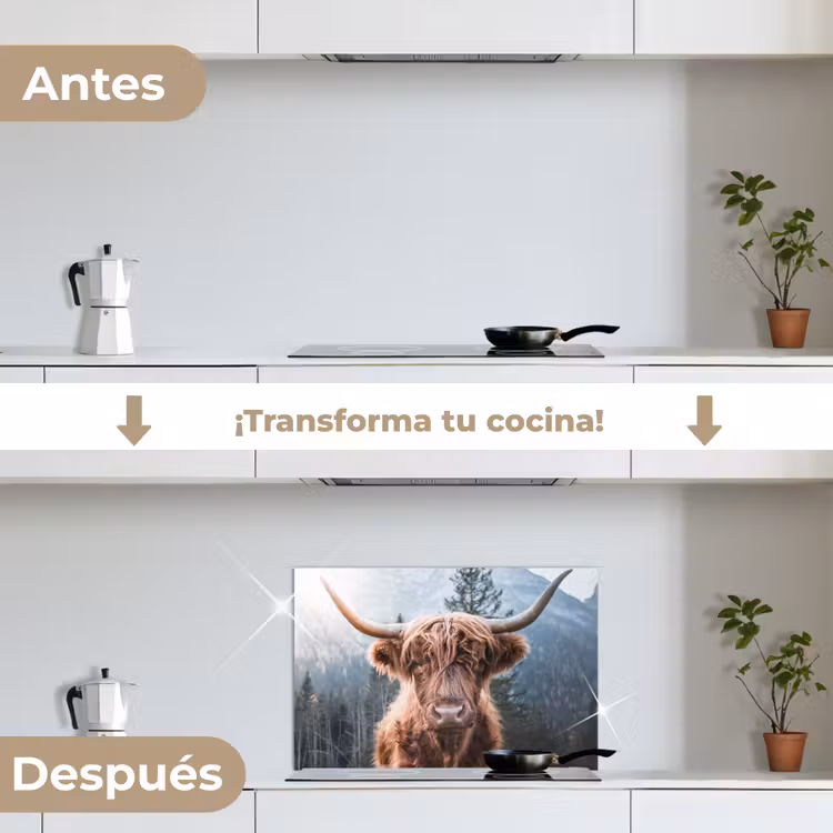 Salpicaderos de cocina - Highlander escocés - Vaca - Animales - Montaña - Naturaleza — 7