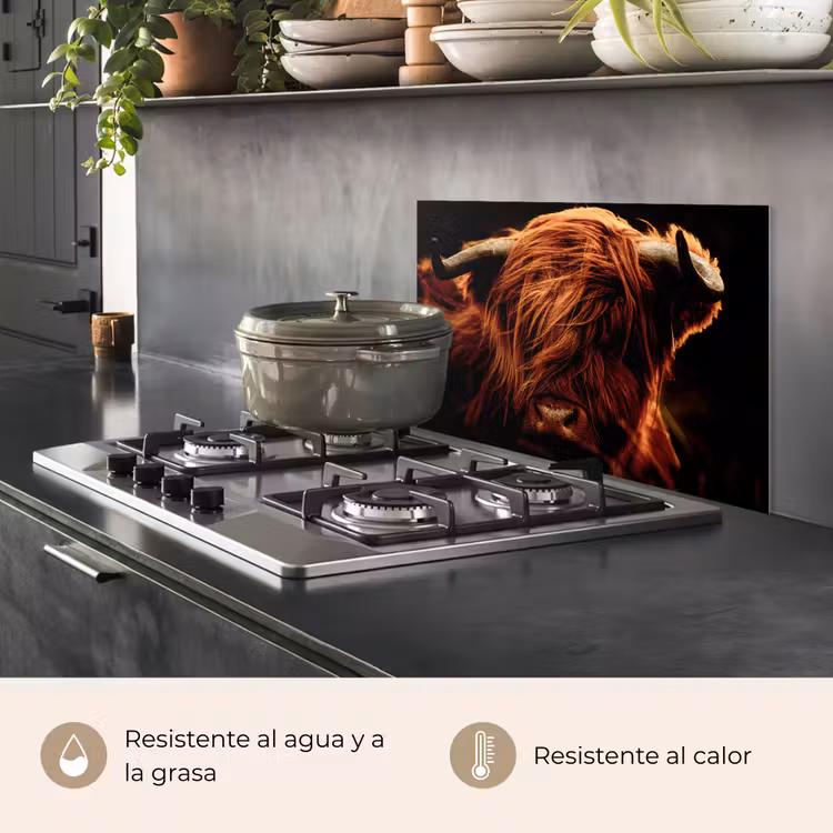 Salpicaderos de cocina - Highlander escocés - Vaca - Cuernos - Retrato - Animales — 2