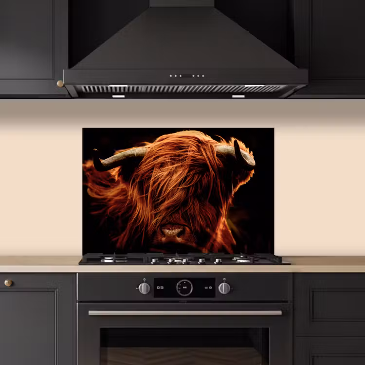 Salpicaderos de cocina - Highlander escocés - Vaca - Cuernos - Retrato - Animales — 5