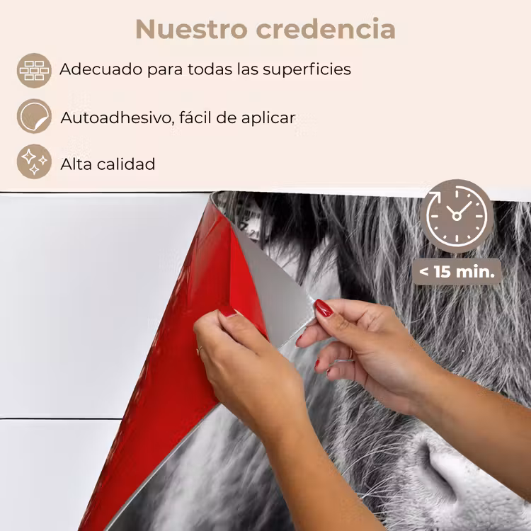 Salpicaderos de cocina - Highlander escocés - Vaca - Negro - Blanco - Animales — 4
