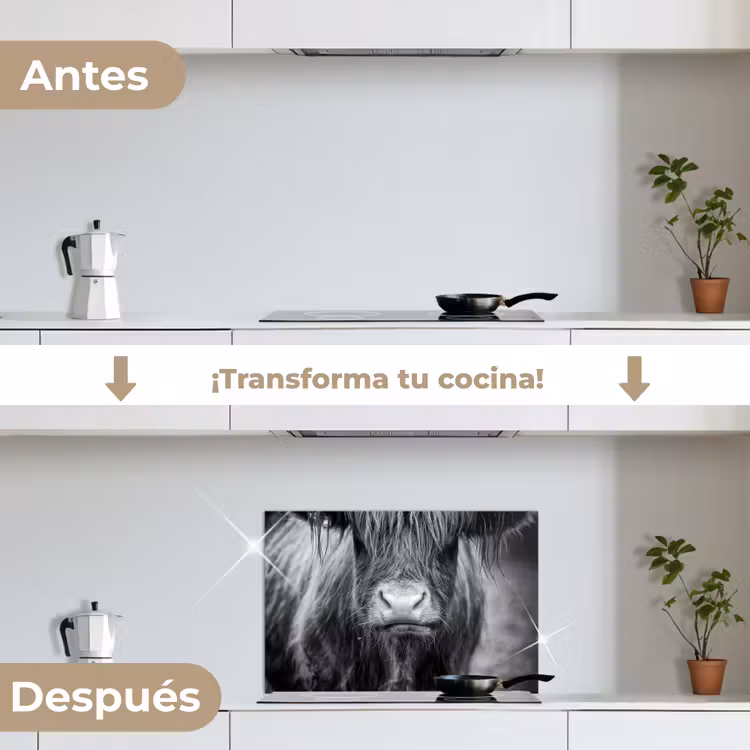 Salpicaderos de cocina - Highlander escocés - Vaca - Negro - Blanco - Animales — 7