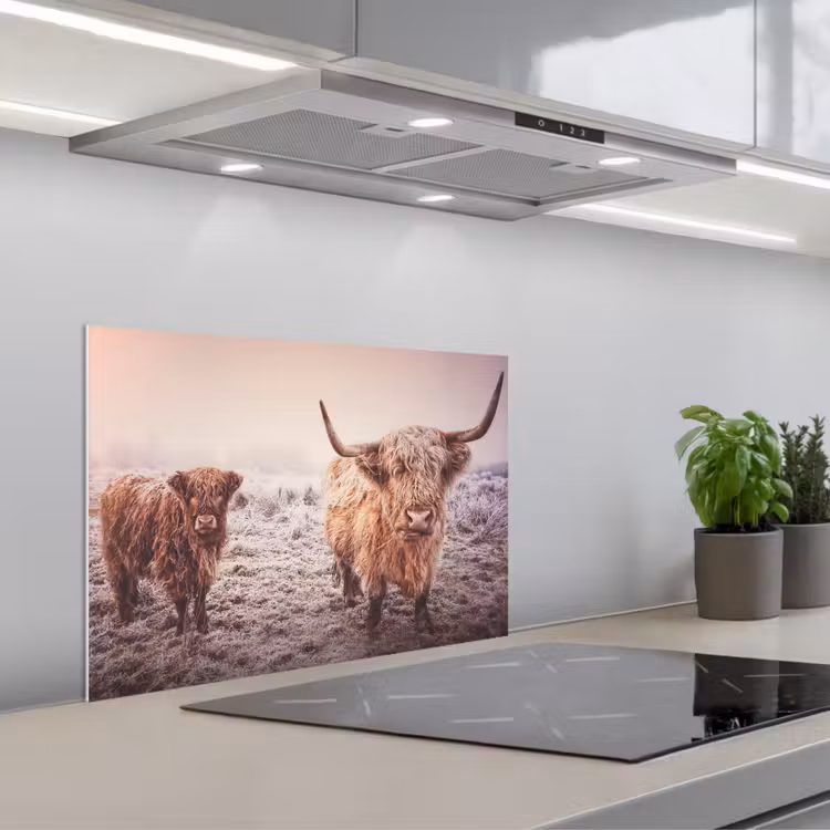 Salpicaderos de cocina - Highlanders escoceses - Luz - Cielo - Naturaleza — 1