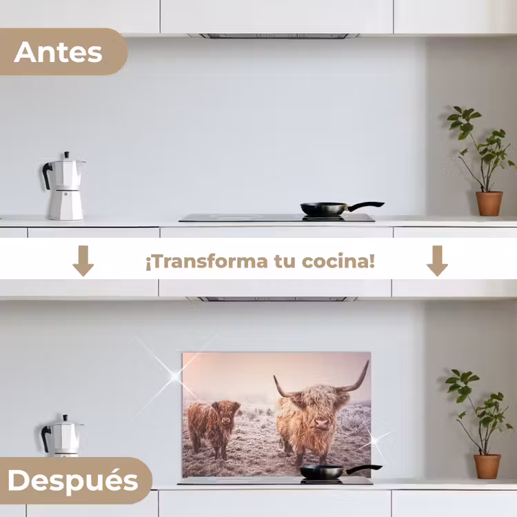Salpicaderos de cocina - Highlanders escoceses - Luz - Cielo - Naturaleza — 7