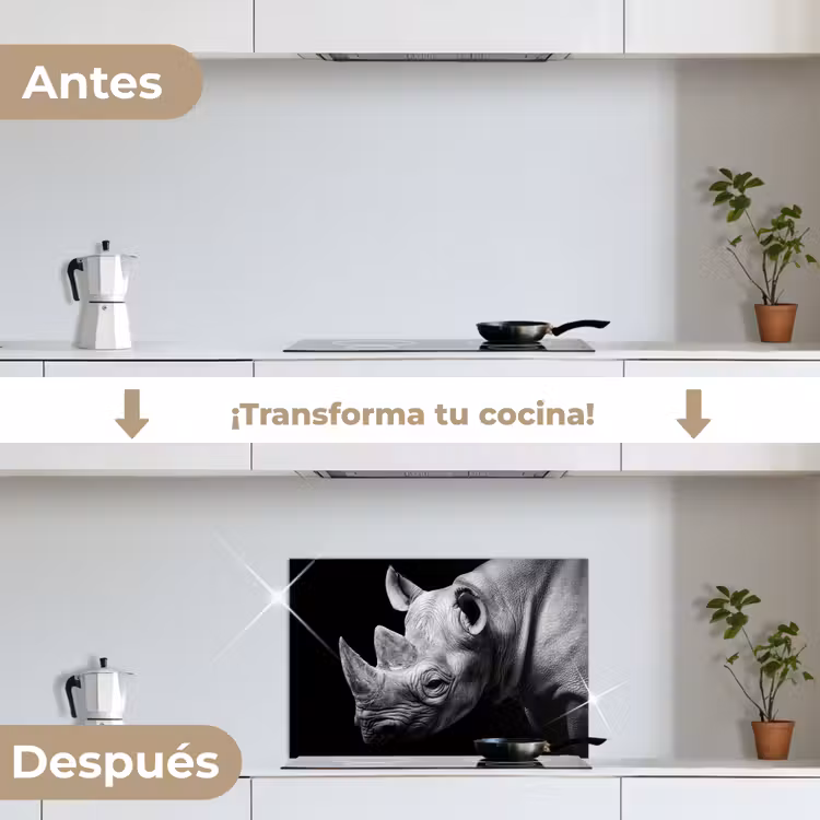 Salpicaderos de cocina - Animales - Rinoceronte - Negro - Blanco - Retrato — 7