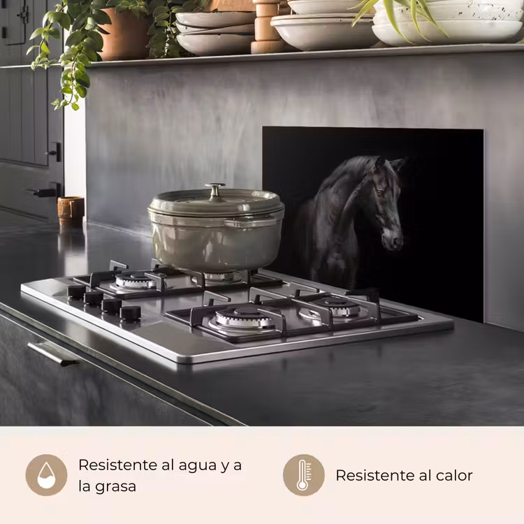 Salpicaderos de cocina - Caballo - Animales - Negro - Retrato — 2
