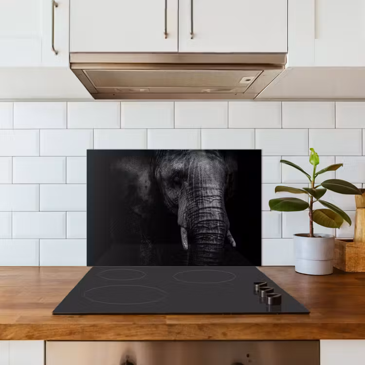 Salpicaderos de cocina - Elefante - Animal - Retrato — 3