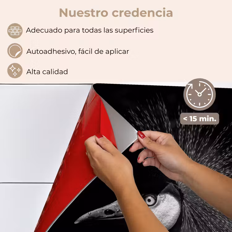 Salpicaderos de cocina - Grulla - Negro - Blanco - Pájaro - Animales — 4