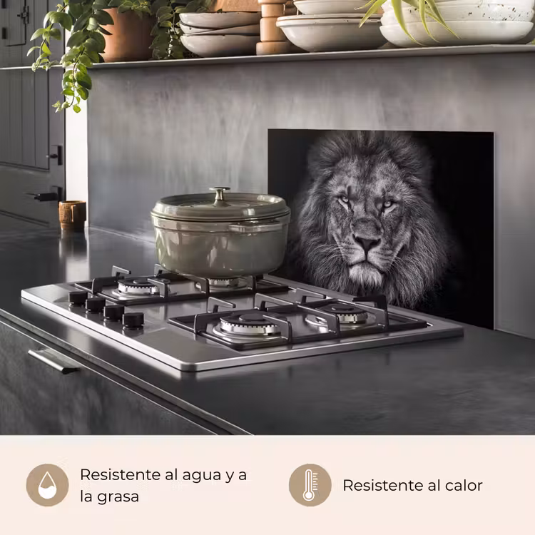 Salpicaderos de cocina - León - Animales - Negro - Blanco — 2
