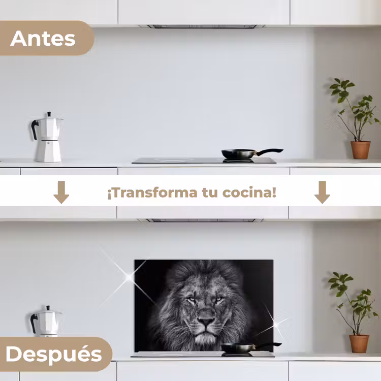 Salpicaderos de cocina - León - Animales - Negro - Blanco — 7