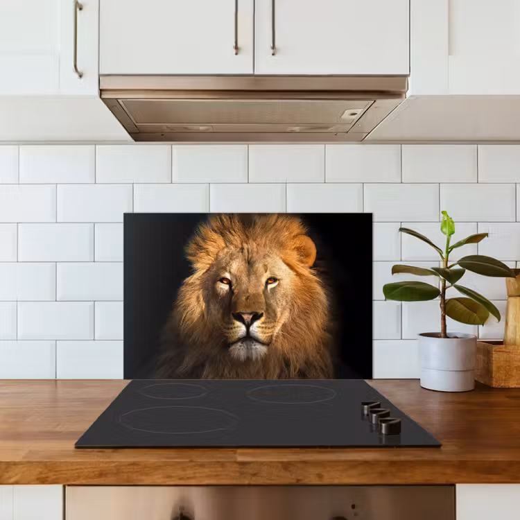 Salpicaderos de cocina - León - Animales - Negro - Claro - Marrón - Retrato — 3