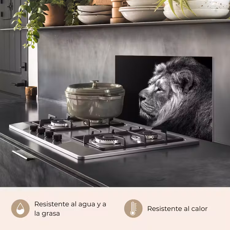 Salpicaderos de cocina - León sobre fondo negro en blanco y negro — 2