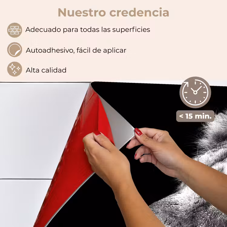 Salpicaderos de cocina - León sobre fondo negro en blanco y negro — 4