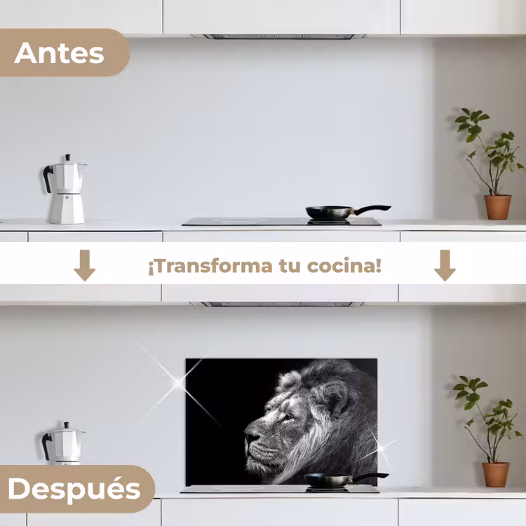 Salpicaderos de cocina - León sobre fondo negro en blanco y negro — 7